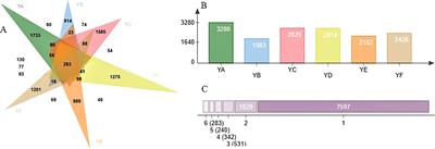 Differences in phyllosphere microbiomes among different Populus spp. in the same habitat